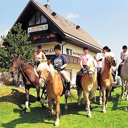 Sportgasthof Lipp 3* Lederwinkel