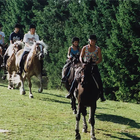 Sportgasthof Lipp Lederwinkel