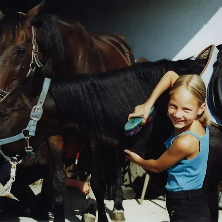 Hotell Sportgasthof Lipp 3*