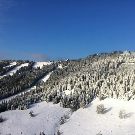 Hotel Sportgasthof Lipp 3*