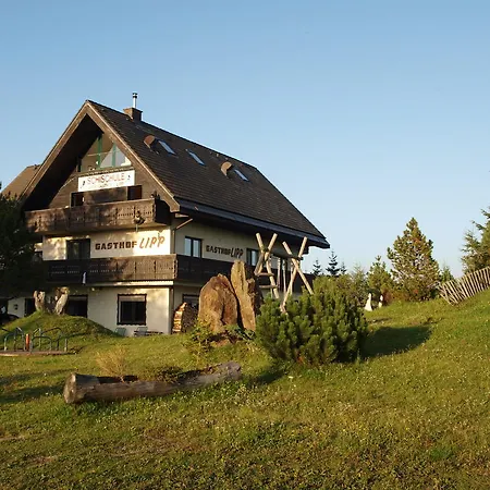 Hotell Sportgasthof Lipp Lederwinkel