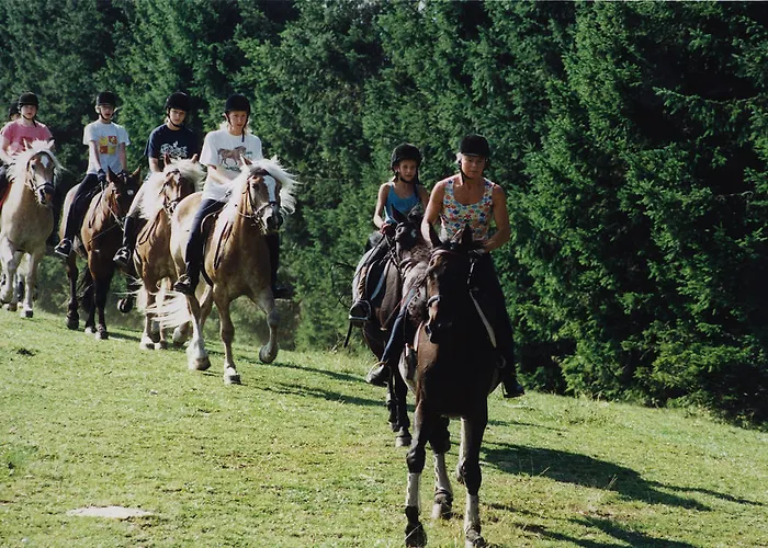 Sportgasthof Lipp Lederwinkel
