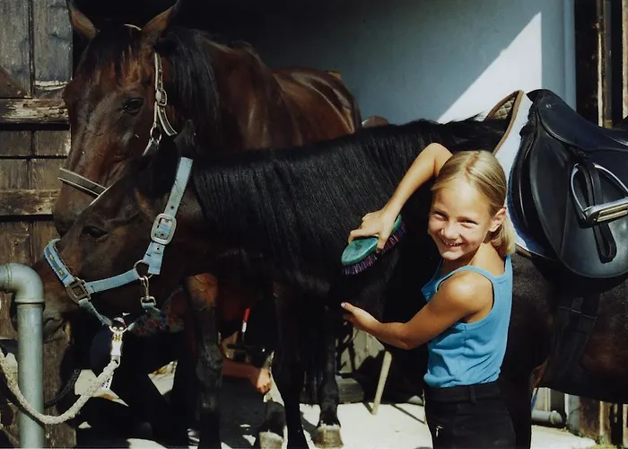 Отель Sportgasthof Lipp 3*