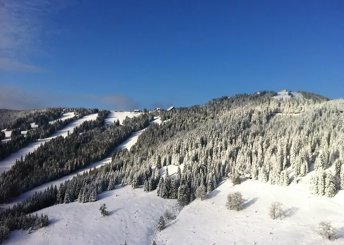 Hotel Sportgasthof Lipp 3*