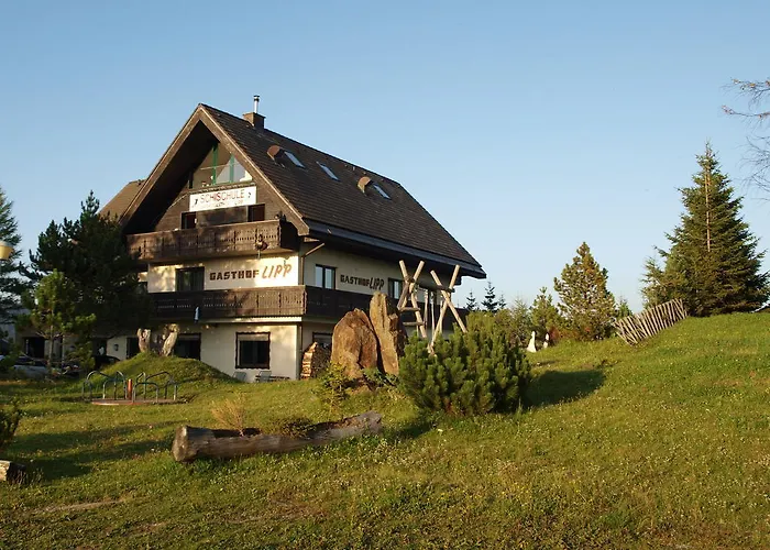 Hotel Sportgasthof Lipp Lederwinkel