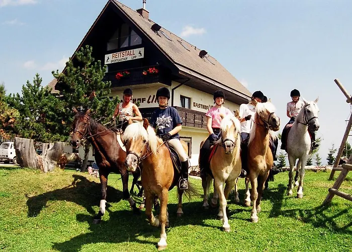 Hotel Sportgasthof Lipp